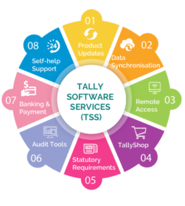 tally software
