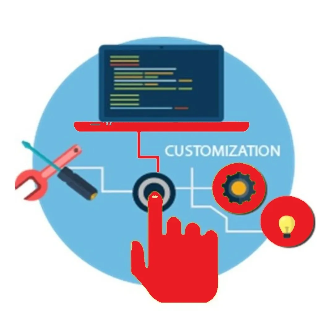 Tally Customization Services