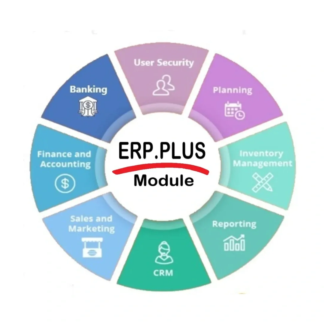 ERP plus